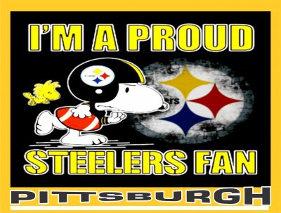 STEELERS PITTSBURGH