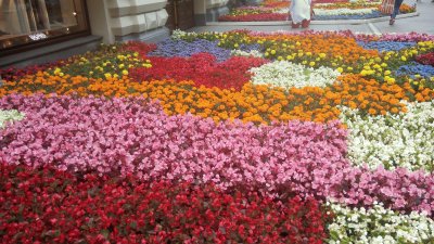 alfombra de flores