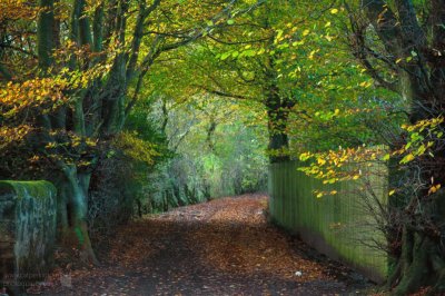 green arch