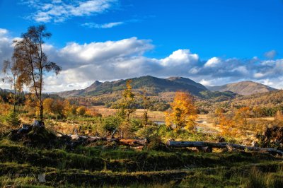 Trossachs Autumn