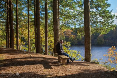 Scotland Autumn bench