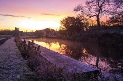 Lavender sunrise