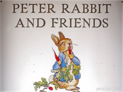 peter rabbitt