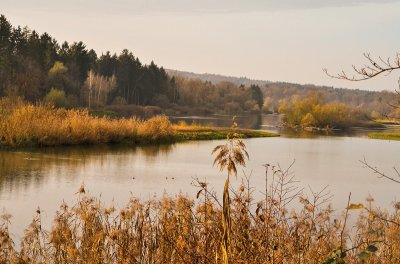 Reusslandschaft