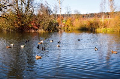 am Katzensee