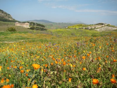 Segesta