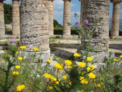 Segesta