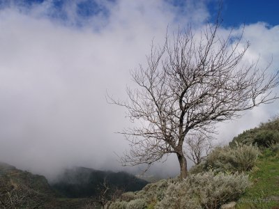 gran canaria / passat