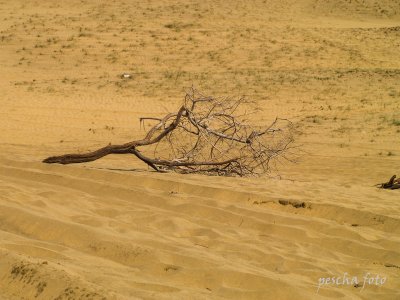 gran canaria / maspalomas