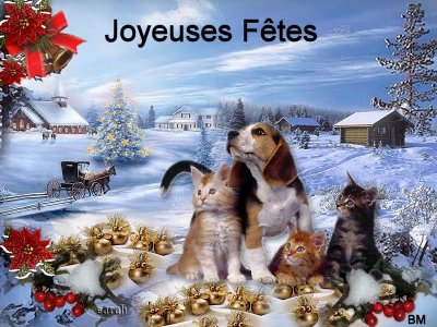 animaux noel