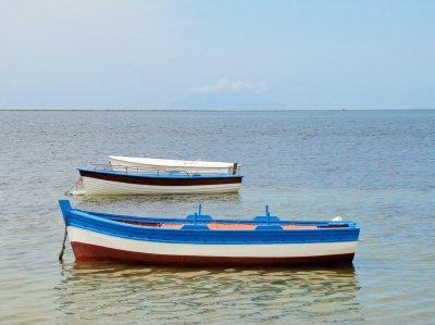 Trapani