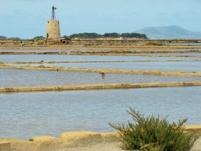 Marsala