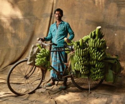 Banana Farmer