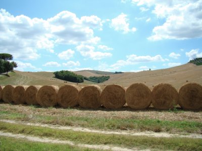 Paesaggio toscano