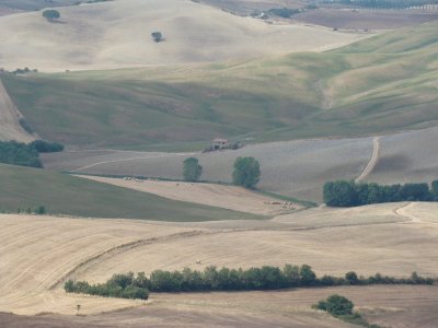 Pienza