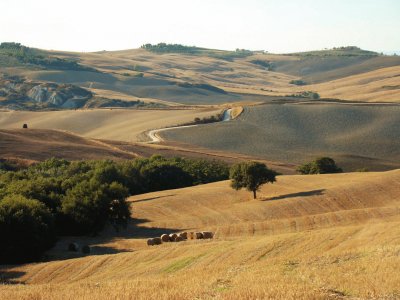 Pienza