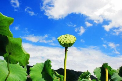 ç¾Žéº—é›²å½©