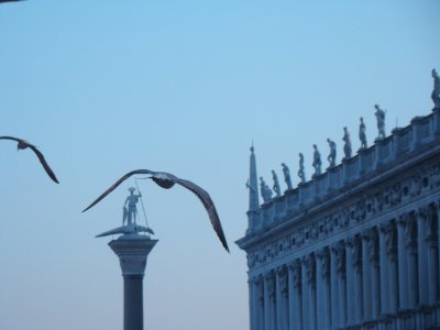 Venezia