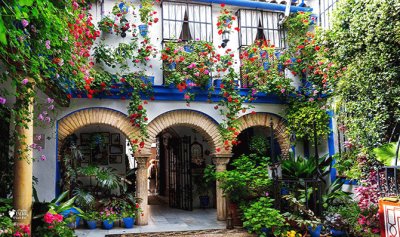 Patio de Cordoba