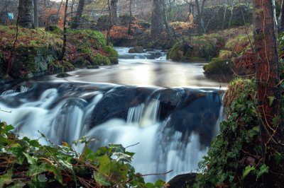 Winter Water