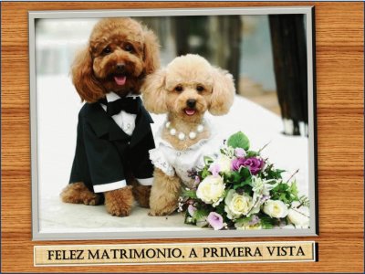 FELIZ MATRIMONIO, A PRIMERA VISTA