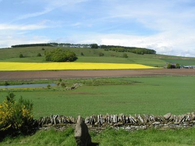 Dunnichen Moss Hill