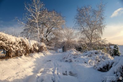 Narnia Lane