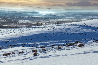 Deep snow landscape colours