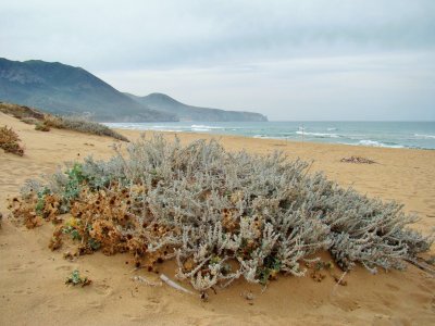 Portixeddu, Sardegna