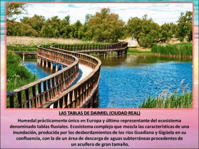 LAS TABLAS DE DAIMIEL (CIUDAD REAL)