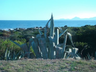 Porto Corallo, Sardegna