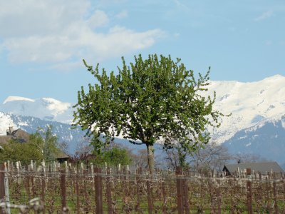 Saint-Pierre d 'Albigny, Savoie