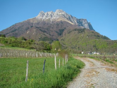 Saint-Pierre d 'Albigny, Savoie