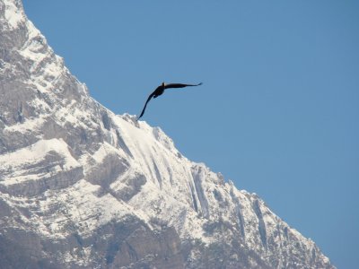 Saint-Jean de la Porte, Savoie