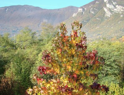 Saint-Pierre d 'Albigny, Savoie