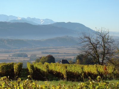 Saint-Pierre d 'Albigny, Savoie