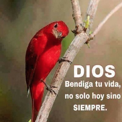 Bendiciones