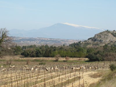 Sauveterre, Gard, France