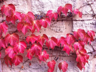 Villeneuve-les-Avignon, Gard, France