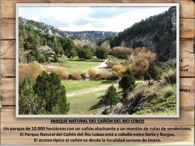 PARQUE NATURAL DEL CAÃ‘Ã“N DEL RIO LOBOS