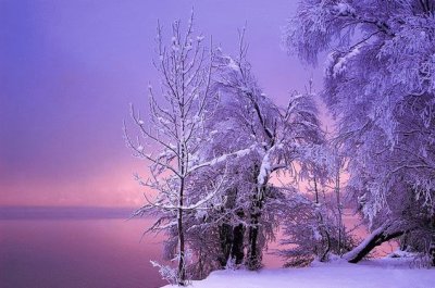 FotografÃ­a de invierno