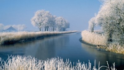 imagenes-de-paisajes-de-invierno-arboles