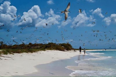 ArchipiÃ©lago Las Aves, Venezuela