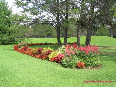 parc fleuri