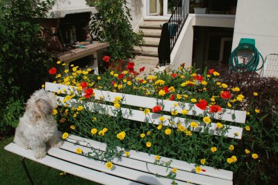 banc du jardin