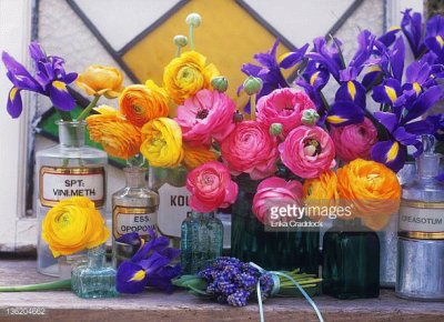 Gorgeous Ranunculus and Iris Flowers