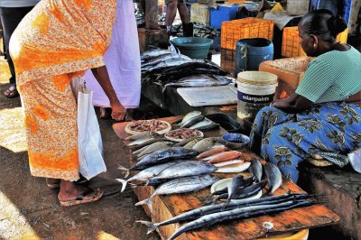 Fish Market