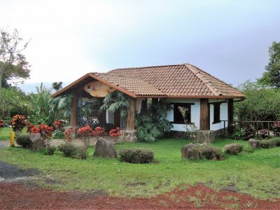 Cafetal en Costa Rica.