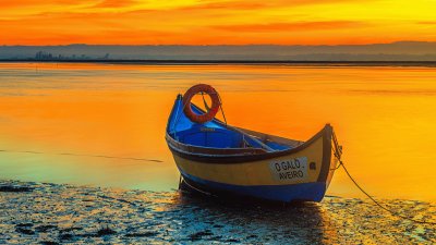 Aveiro-Portugal