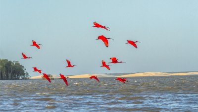 delta do parnaÃ­ba brazil